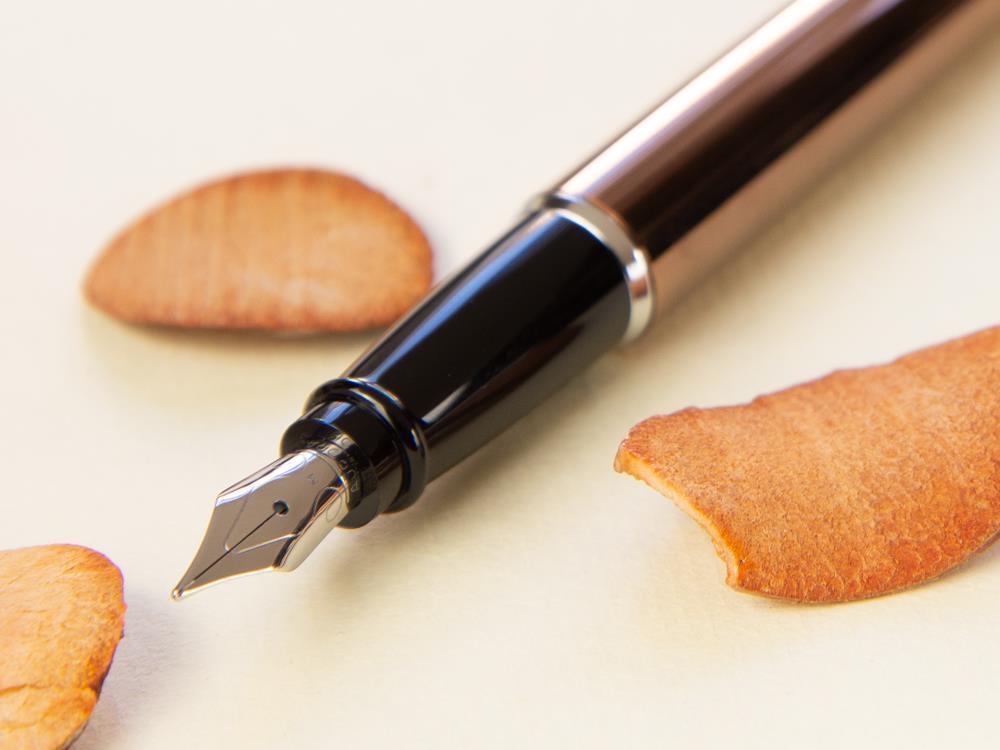 Pluma Estilográfica Aurora Style Bronce - E13BR