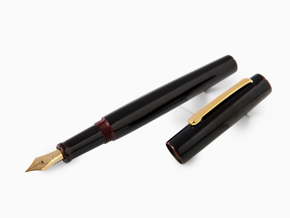Pluma Estilográfica Nakaya Neo-Standard Kuro-Tamenuri, Laca Urushi