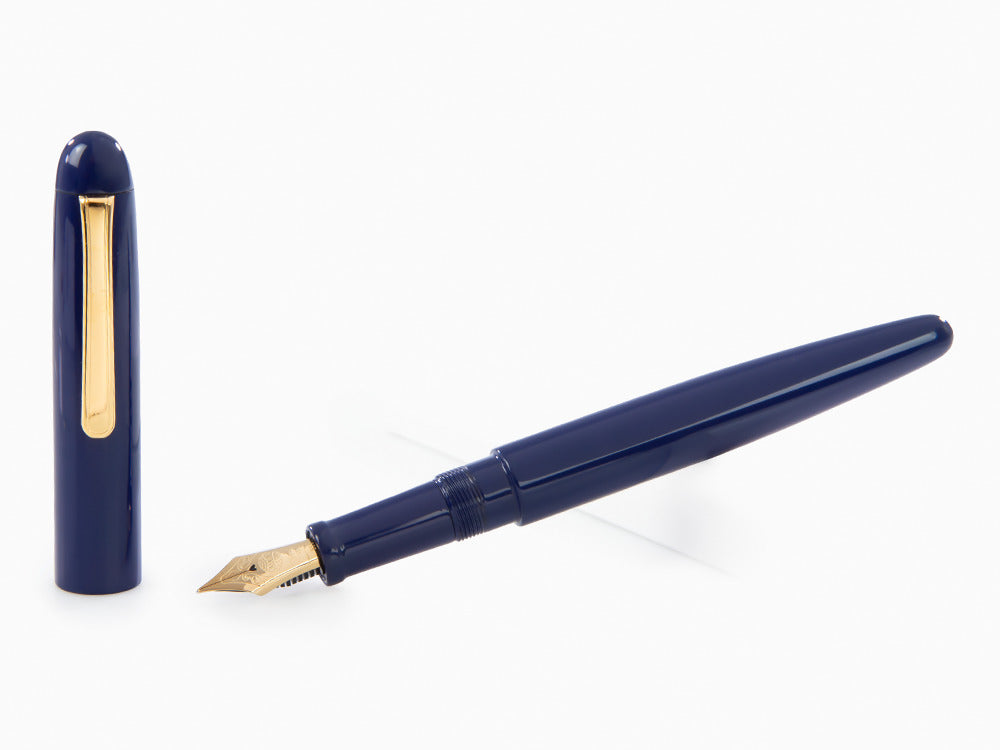 Pluma Estilográfica Nakaya Writer Kikyo, Long, Ebonita