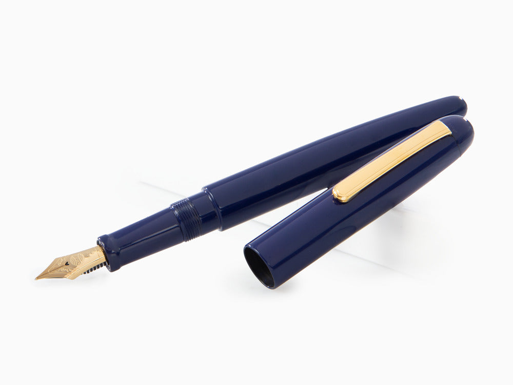 Pluma Estilográfica Nakaya Writer Kikyo, Long, Ebonita