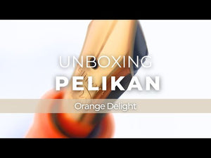 Estilográfica Pelikan M200 Orange Delight, Edición Especial, 825139