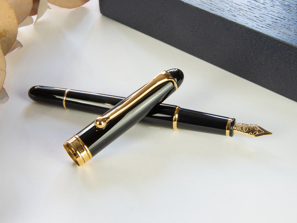 Pluma Estilográfica Aurora 88 Small, Resina, PVD Oro, 810