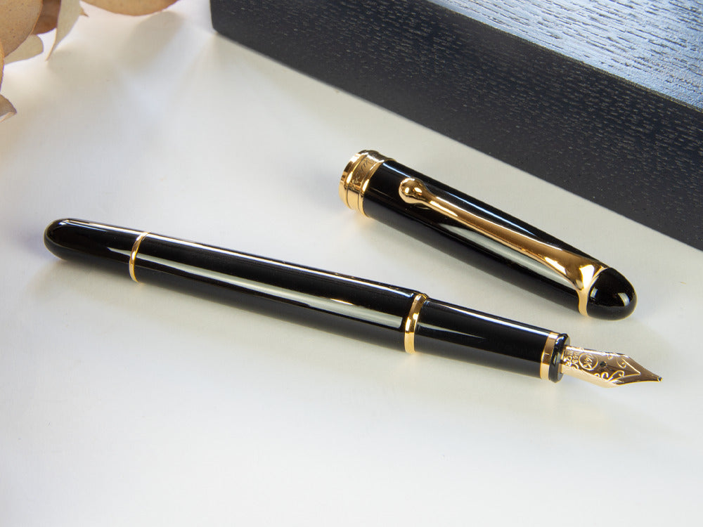 Pluma Estilográfica Aurora 88 Small, Resina, PVD Oro, 810