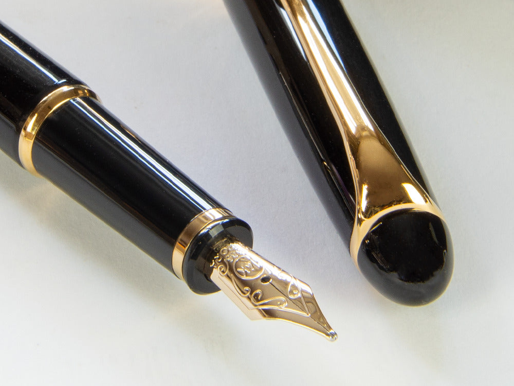 Pluma Estilográfica Aurora 88 Small, Resina, PVD Oro, 810