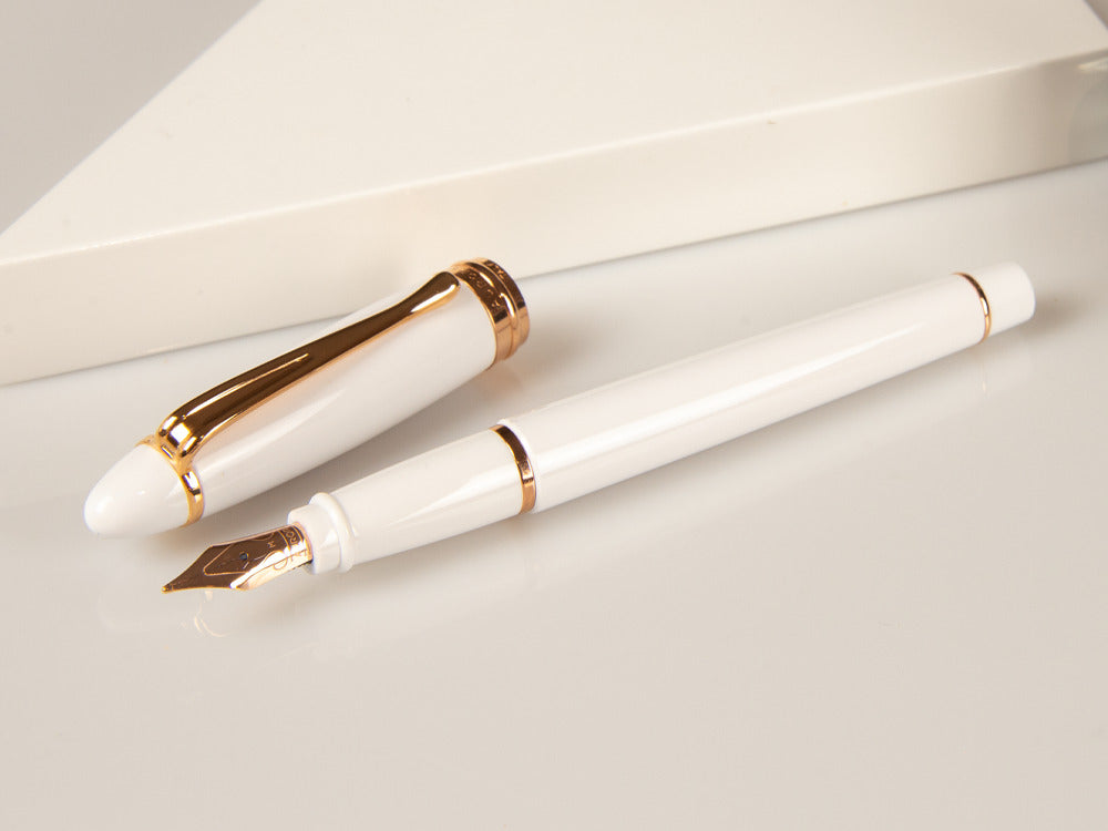Pluma Estilográfica Aurora Ipsilon Invierno, Blanco, Oro Rosa, B11-PW