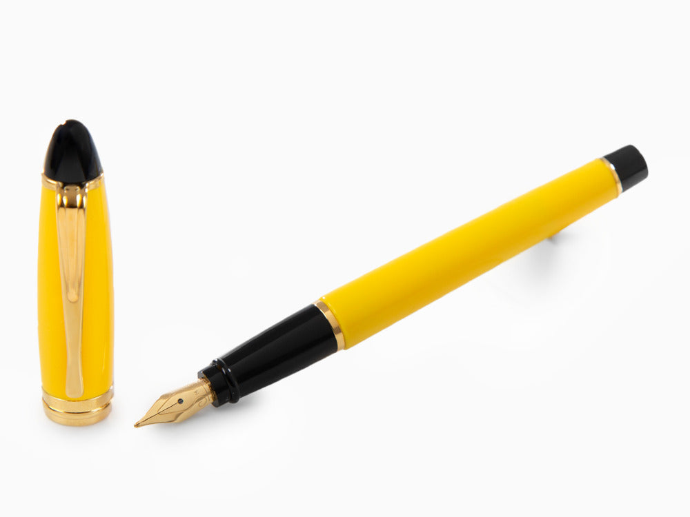 Pluma Estilográfica Aurora Ipsilon, Resina, Adornos en oro, b11y