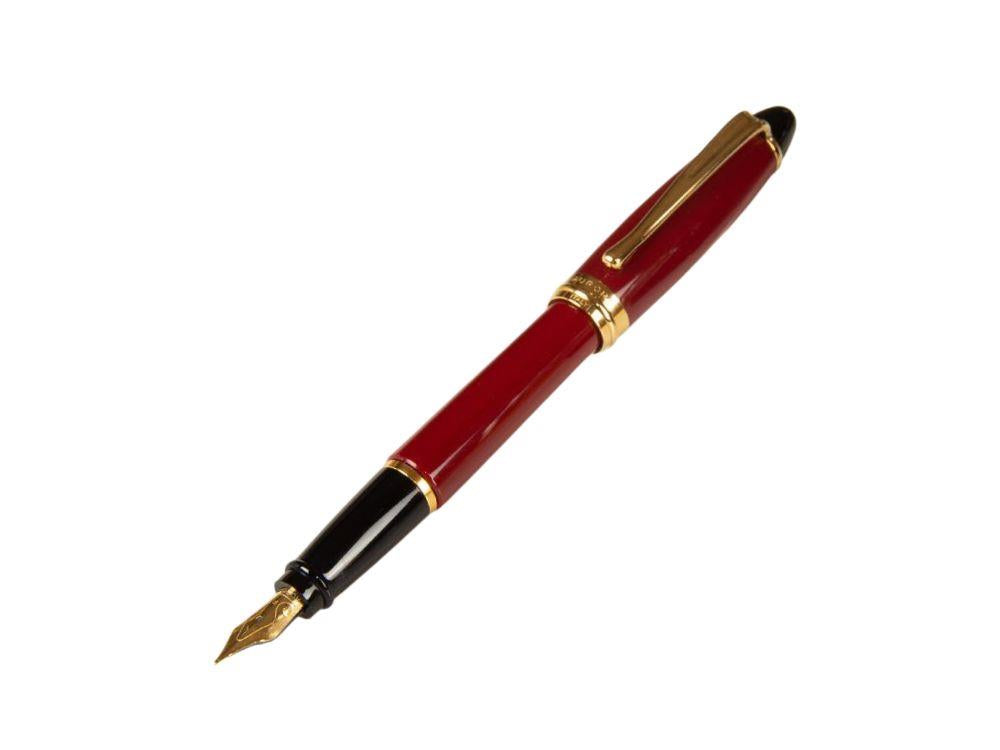 Pluma Estilográfica Aurora Ipsilon, Resina, Adornos en oro, b11x