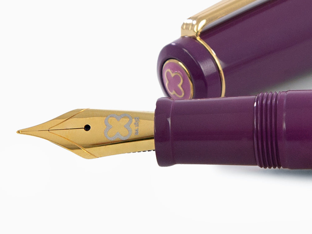 Pluma Estilográfica Esterbrook Model J Blackberry Ebonite, EBJBB