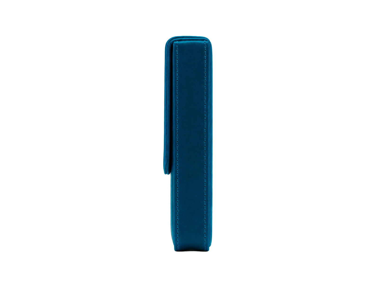 Estuche Iguana Azul para 3 piezas de escritura, PEN-CASE-BLUE-3