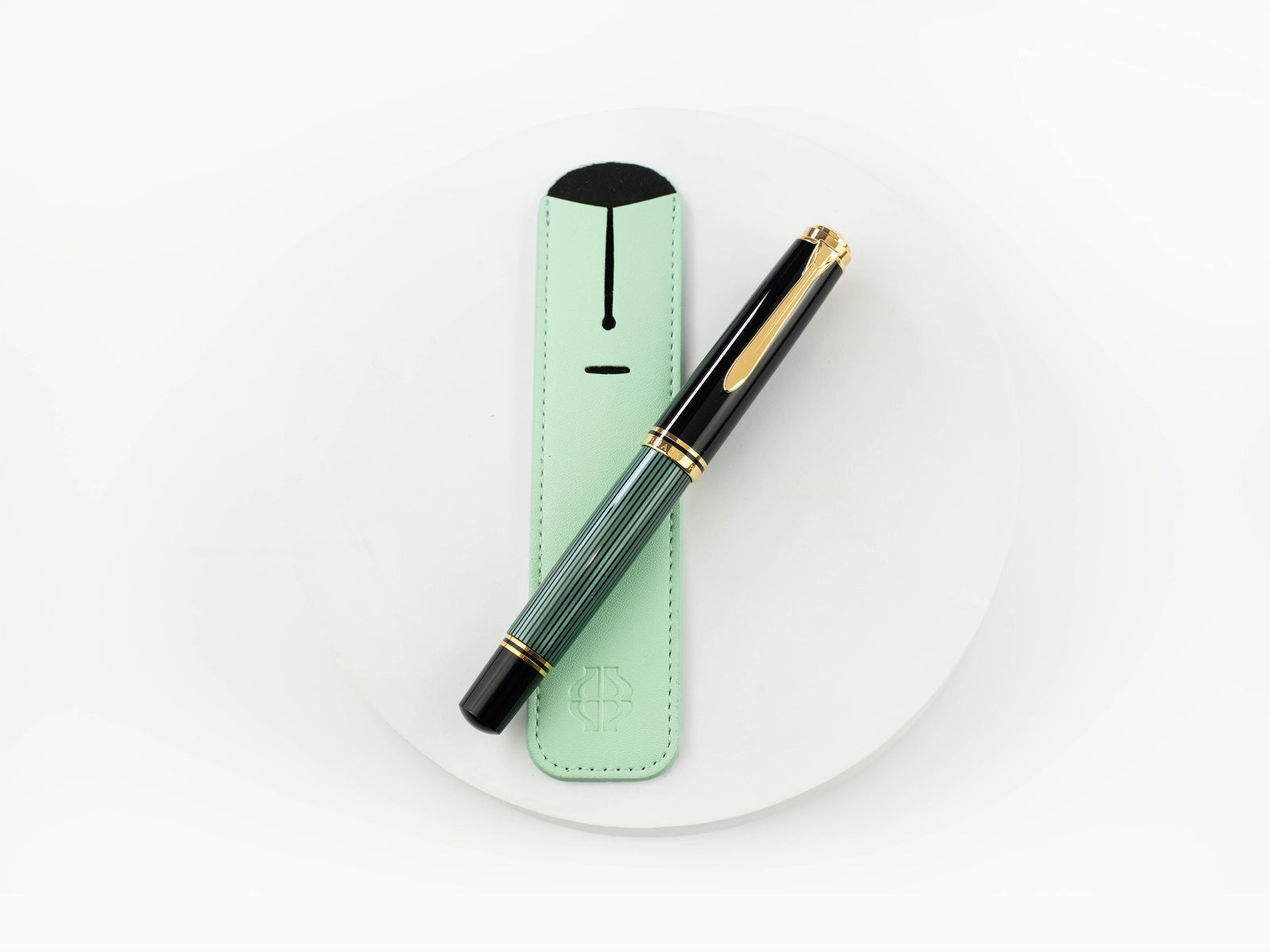 Funda de escritura Iguana Mint Green