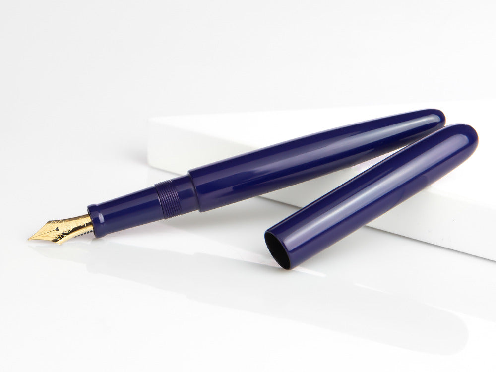 Pluma Estilográfica Nakaya Cigar Long Shobu, Ebonita, Oro 14k