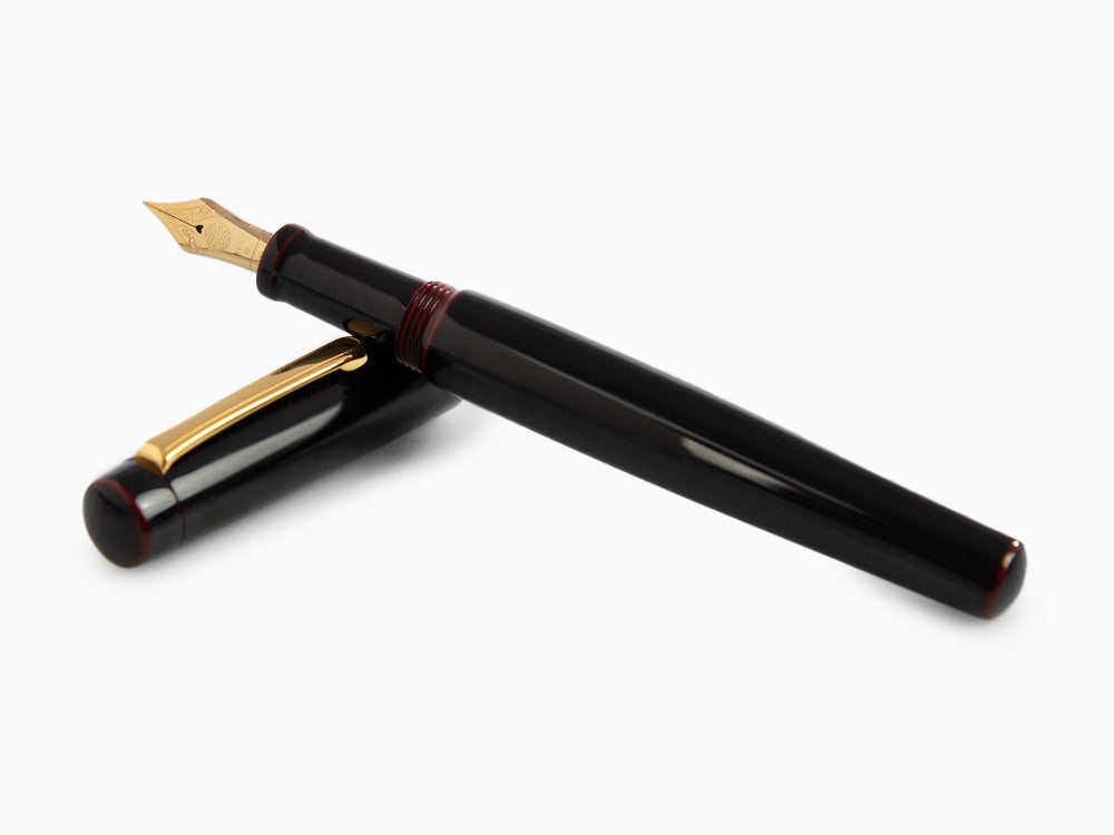 Pluma Estilográfica Nakaya Neo-Standard Kuro-Tamenuri, Laca Urushi