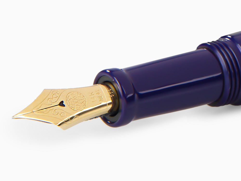 Pluma Estilográfica Nakaya Neo-Standard Shobu, Ebonita