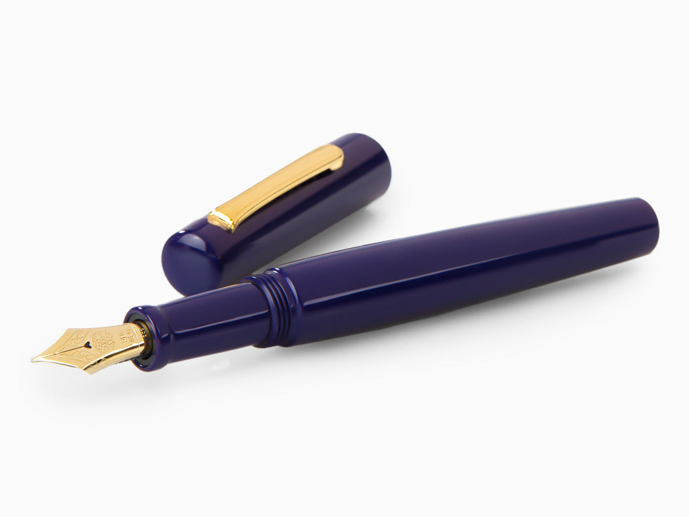 Pluma Estilográfica Nakaya Neo-Standard Shobu, Ebonita