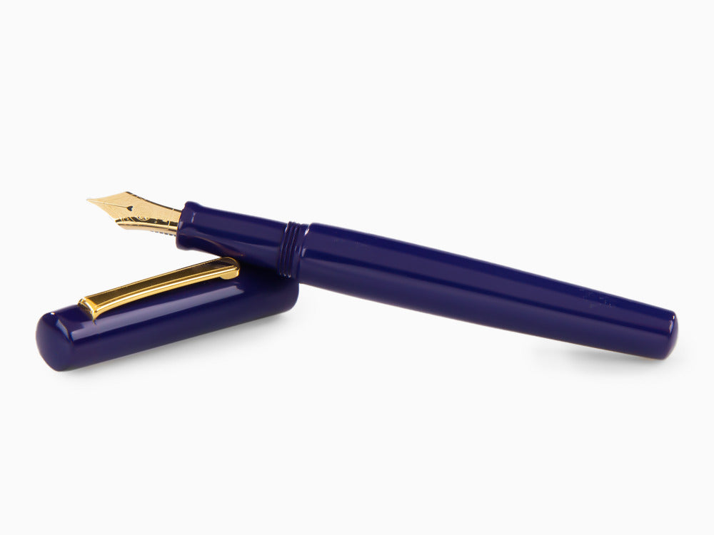 Pluma Estilográfica Nakaya Neo-Standard Shobu, Ebonita