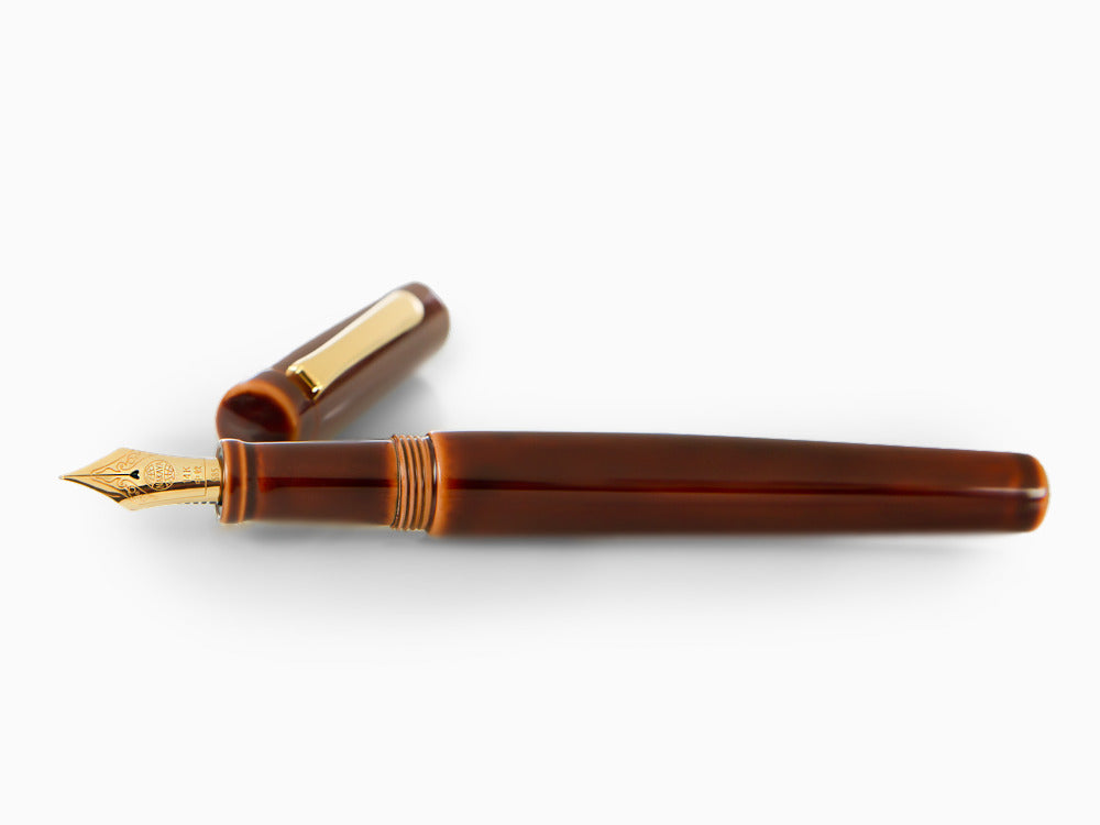 Pluma Estilográfica Nakaya Neo-Standard, Toki-Tamenuri, Ebonita