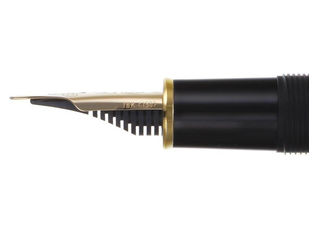 Pluma Estilográfica Platinum Izumo Bamboo Torafu, Marrón, PBA-120000Y-10