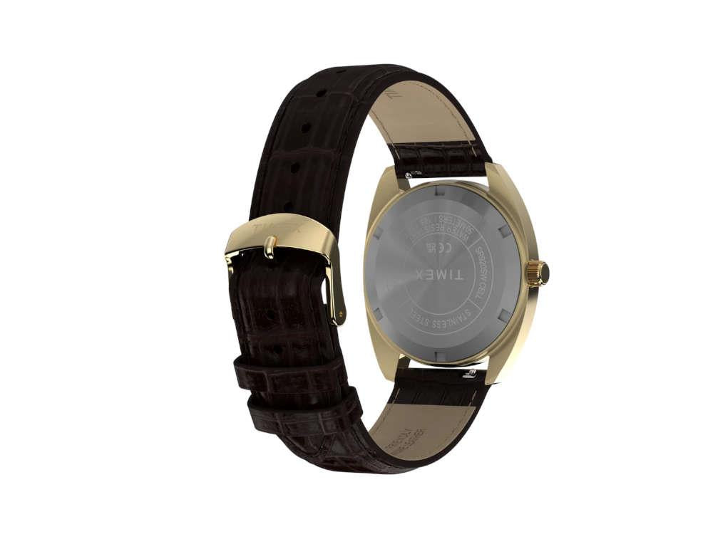 Reloj de Cuarzo Timex Lab Reissue 1976, PVD Oro, Negro, 37 mm, TW2Y82100