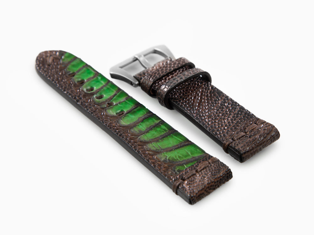 Correa U-Boat Accesorios, Piel de Avestruz, Marrón, 23mm., Bronce, 3022