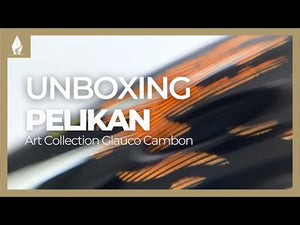 Pluma Pelikan M600 Art Collection Glauco Cambon, Edición Especial 823555